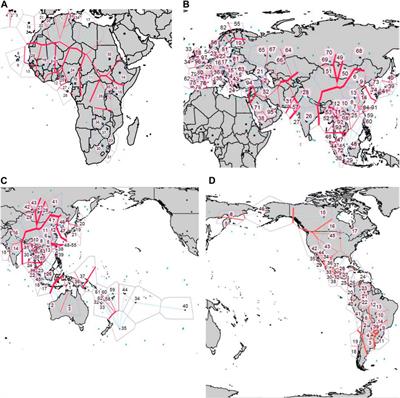 An HLA map of the world: A comparison of HLA frequencies in 200 worldwide populations reveals diverse patterns for class I and class II